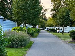 Down the lane