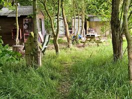 Woodland area