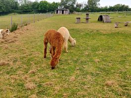 It was nice to be able to get close to the animals