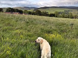 Lovely views