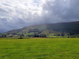 Cuppa with a view!
