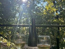 Wine in the sun