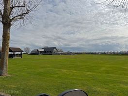 Open field