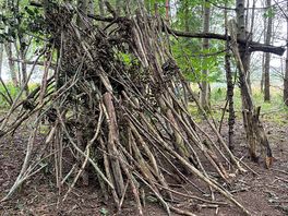 Den building