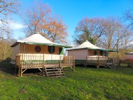 Safari tents