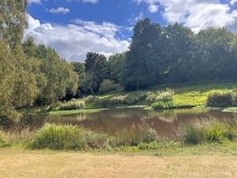 Scenic 🌿
