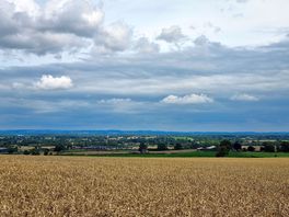 View from the farm