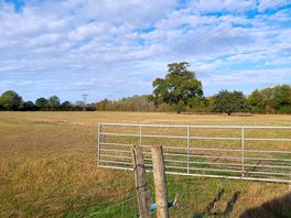 Farm setting