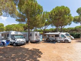 Room 60-80 mq di dimensione Soleggiate e pianeggianti Bagni completamente ristrutturati