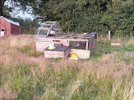 Hen house