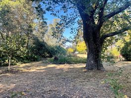 Beautiful gardens