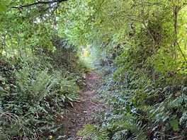 Fantastic walks