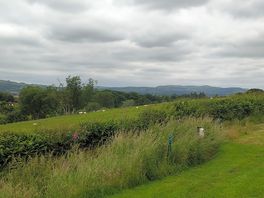 View 1.