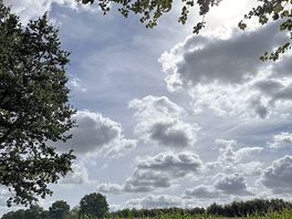 Scenery