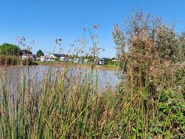 Pond / caravan