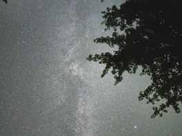 Captured this with my phone. maybe even better with a pro cam. possible cause site is dark.