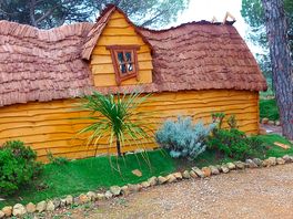 Thatched cottage