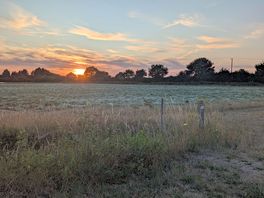 Watching sunset over the fields