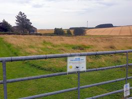 Dog field