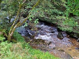 Love the sound of a flowing river 😌