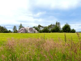 Tent pitched up in the non-electric grass field