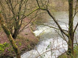 And even more water - i’m a pisces what can say.