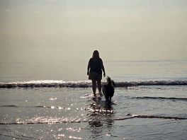 Nearby beach