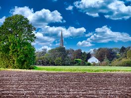 View across the fields at the rear of the site looking at the spire of tydd st mary church.