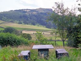 View from the site
