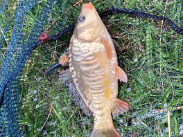Our biggest catch.