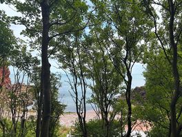 Local beach