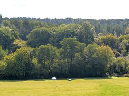 Sunny morning, view down showing part of camp field