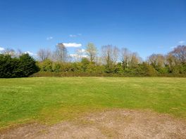 Grass pitches