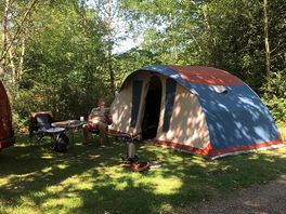 Lovely pitch in woodland