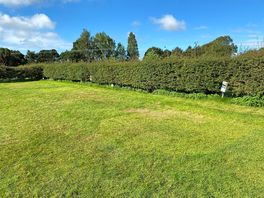 Secluded pitches
