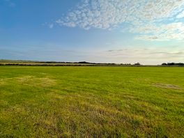 Grassy pitches