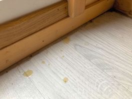Grease on floor on arrival.