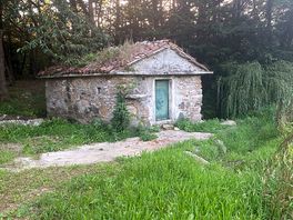 Molino