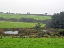 Other parts of the farm