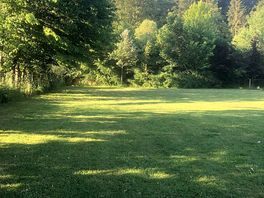 Dog park