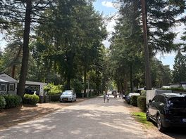Lots of space and very beautiful campsite