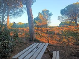 Picnic benches on most pitches.