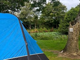 Proximity to the ponds from pitch 108. lovely, even with the dawn chorus from the wildlife.