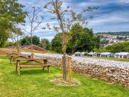 Picnic tables