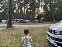 Taking it all in!