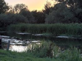 Sunset over the river wissey