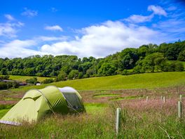 Tent setup in the field.