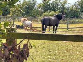 Friendly neighbours