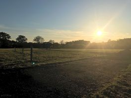 Large grass field