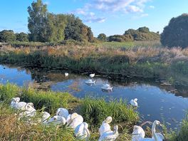 Marshes nearby